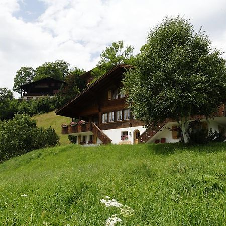 Chalet Unter Dem Stein グリンデルヴァルト エクステリア 写真