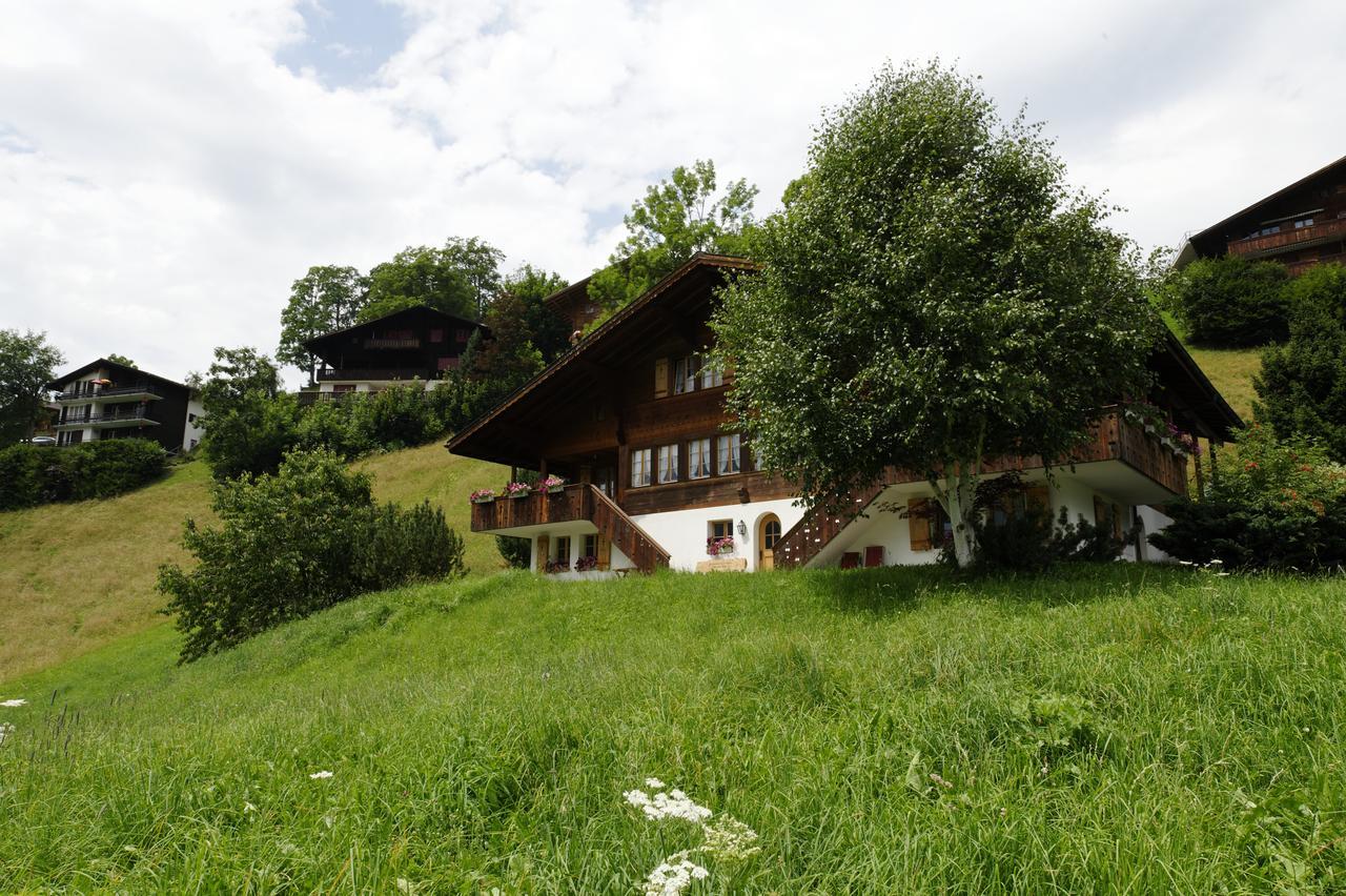 Chalet Unter Dem Stein グリンデルヴァルト エクステリア 写真